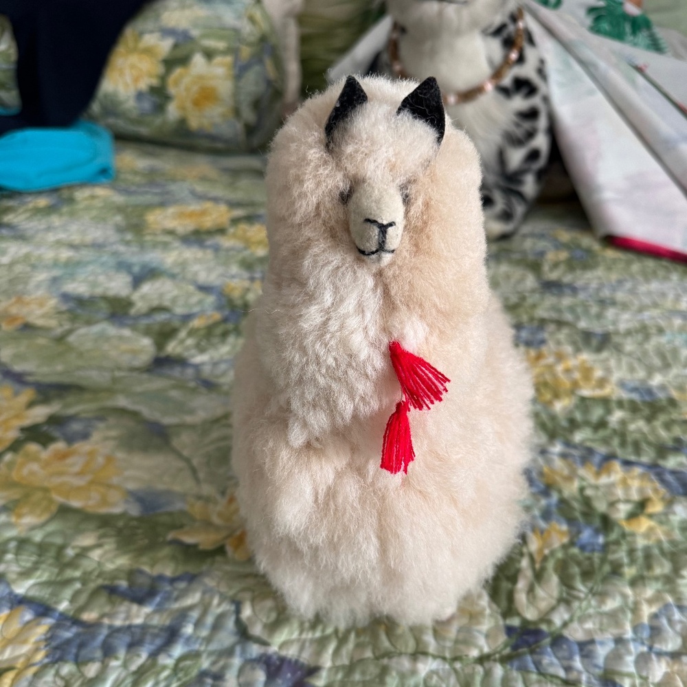Machu Picchu Llama